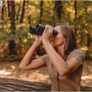 bird watching smiths lake